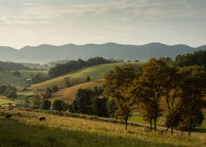 Virginia Landscape