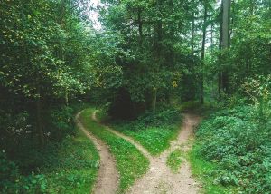 fork in the road